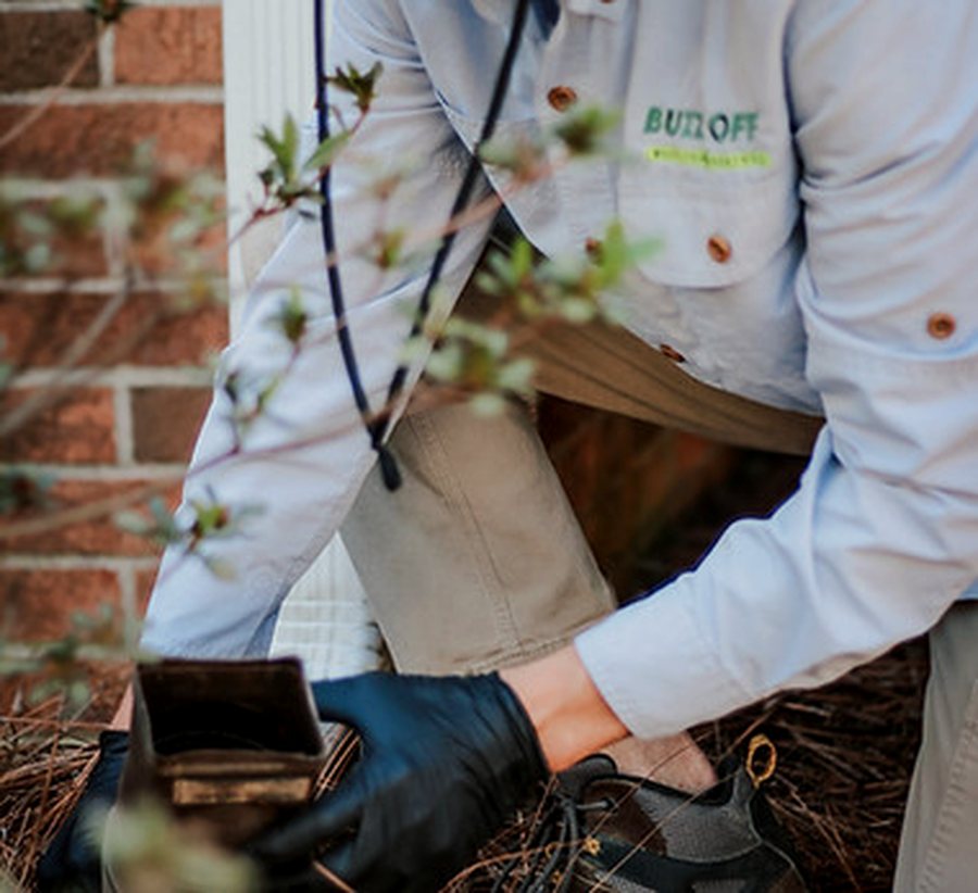 A Buzz Off technician treating a downspout, part of every integrated visit