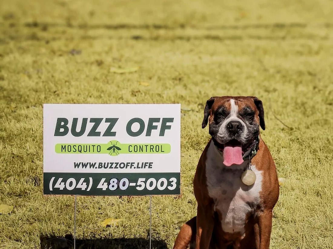 A dog enjoying a backyard treated for fleas and ticks